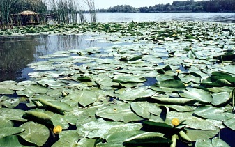 Hamarosan a kormány elé kerül a vízstratégia