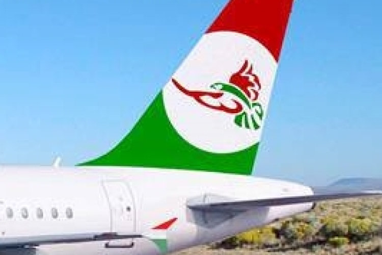 Részben visszadobták a Sólyom engedélykérelmét