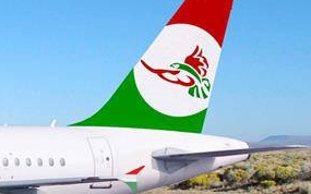 Részben visszadobták a Sólyom engedélykérelmét