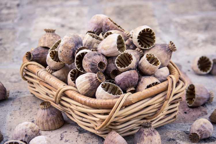 Rekordmagas az idei afganisztáni ópiumtermelés