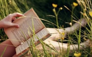 Értelem vagy érzelem? 