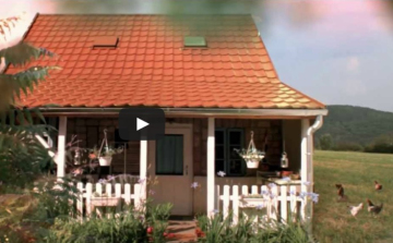 Kikészült a Kreatív Online-főszerkesztő a pucolt csirkétől