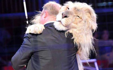 Jön az első Cirkuszok éjszakája