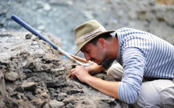 MTA: két páncélos dinoszaurusz is élt a Bakony területén