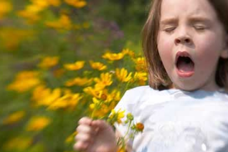 Újfajta kezelés allergiásoknak és asztmásoknak