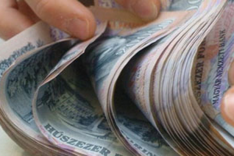 Vagyonnyilatkozatok - Hoffmann Rózsa Suzukit, Szanyi Tibor kis Polskit, Budai Gyula sportlovakat vett