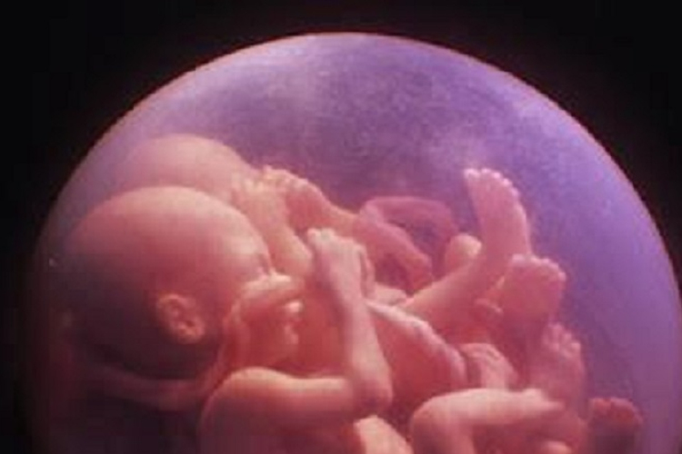 Életeket mentett anyja méhében a magzat