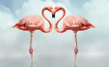 A férfiak kétszer gyakrabban gondolnak pajzánkodásra, mint a nők?