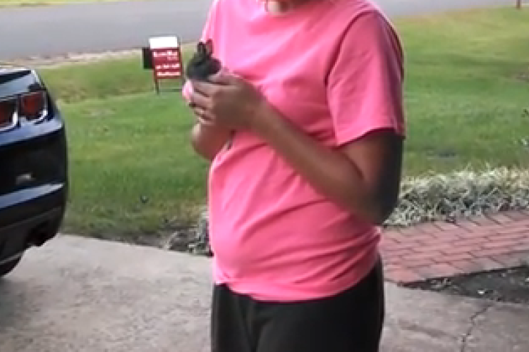 Szomorú sorsa egy nyuszikának, aki éppen visszakapta szabadságát 