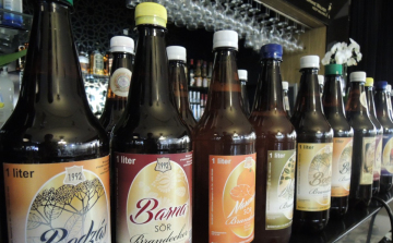 Sörrel koccint a magyar – Budavári Sörfesztivál