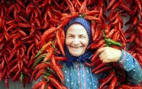 Csak a magyar termék a „magyar”