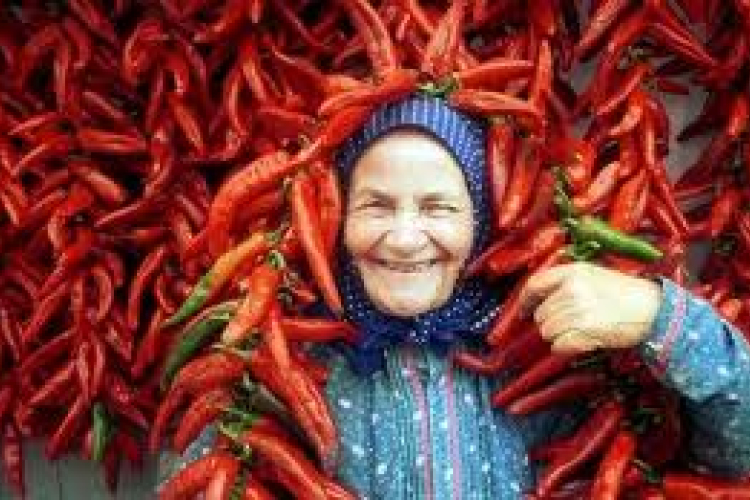 Csak a magyar termék a „magyar”