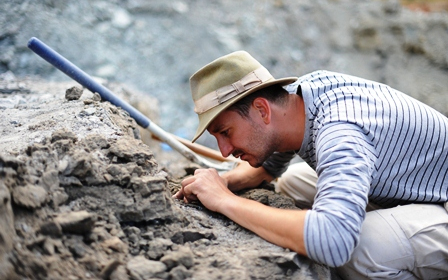 MTA: két páncélos dinoszaurusz is élt a Bakony területén