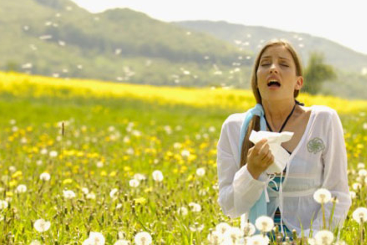 Pollenhelyzet - ÁNTSZ: több allergén virágzása erősödhet a napokban