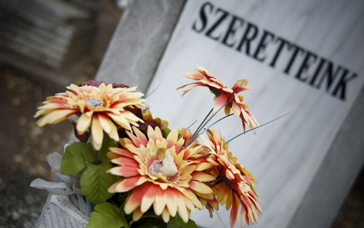 Ingyen viheti sírba családtagjait