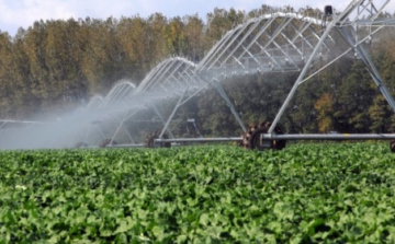 Önköltségalapú lesz az öntözővíz-szolgáltatás ára